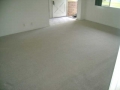 Carpet-Cleaning3