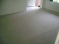 Carpet-Cleaning4