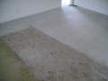 CarpetCleaning1