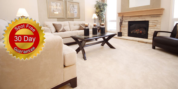 30 Day Spot Free Guarantee!